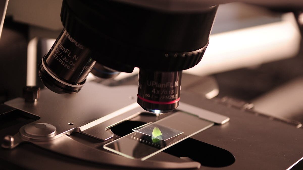 What Do You Need For A Successful Science Based Business