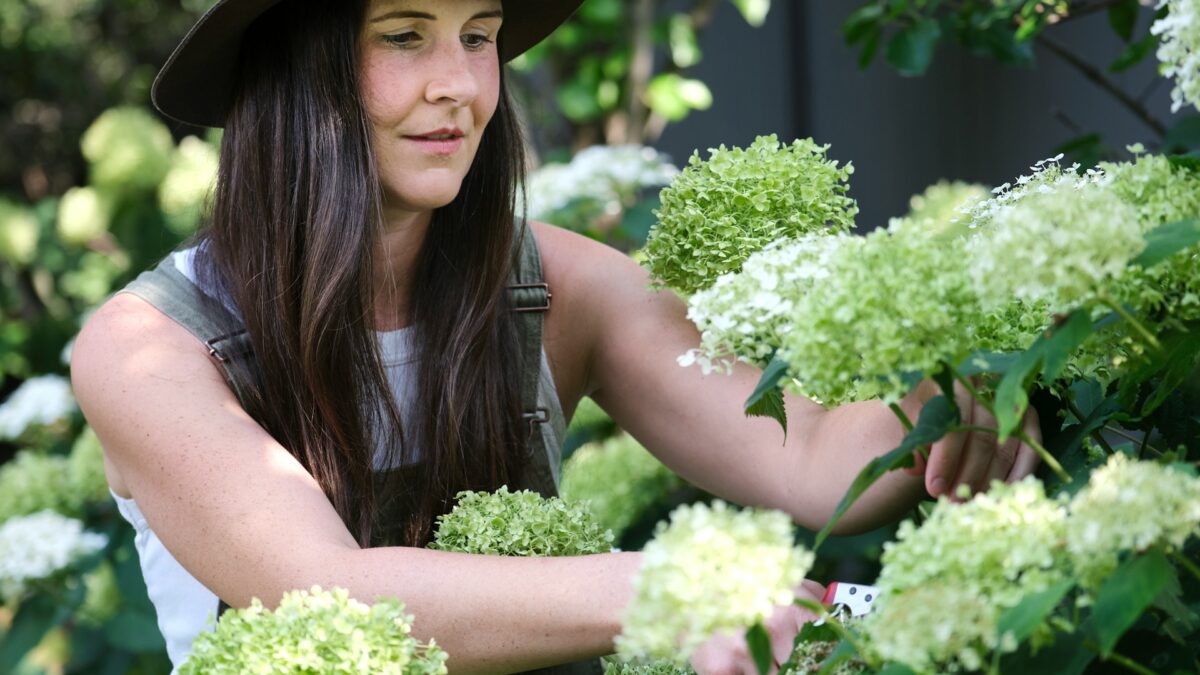 Maximizing Outdoor Space: Pruning for Growth