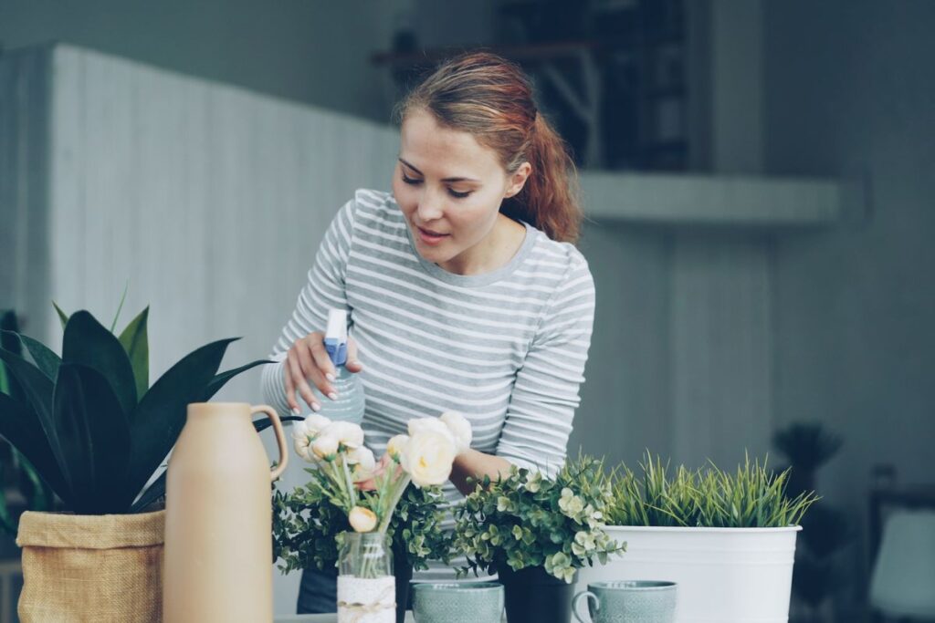 A Beginner's Guide to Indoor Plant Care