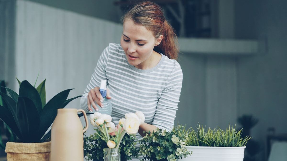 A Beginner’s Guide to Indoor Plant Care
