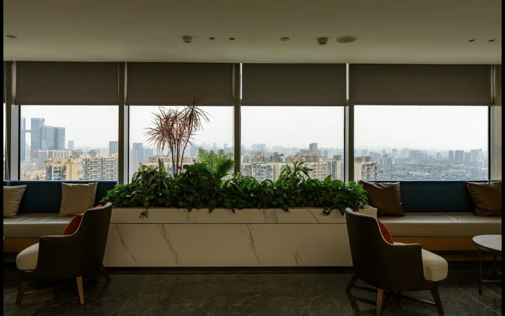 Budget-Smart Upgrades for Shared Living Areas